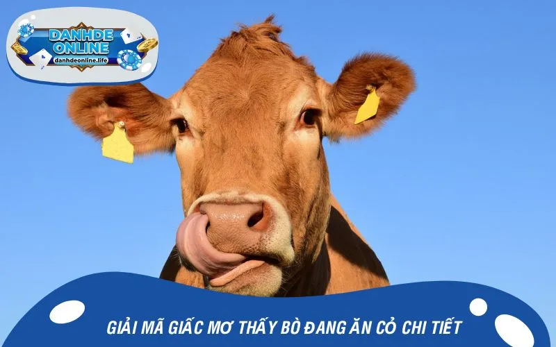 Giải mã giấc mơ thấy bò đang ăn cỏ chi tiết
