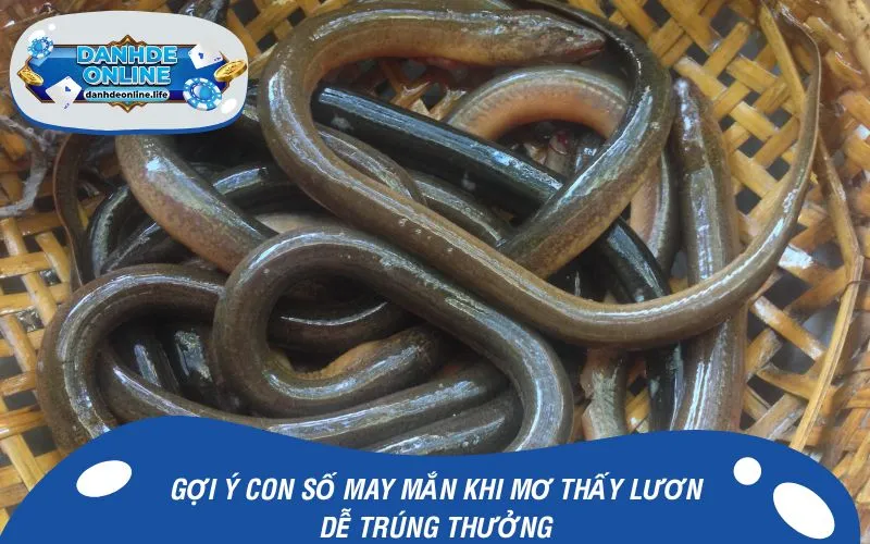 Gợi ý con số may mắn khi mơ thấy lươn dễ trúng thưởng