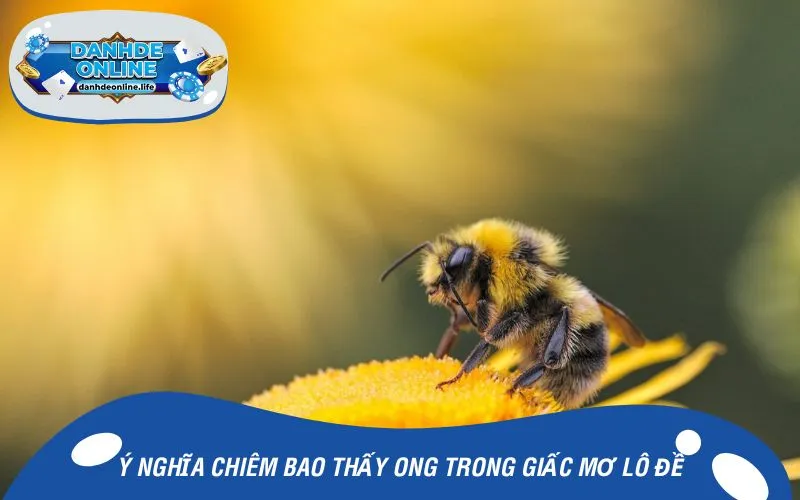 Ý nghĩa chiêm bao thấy ong trong giấc mơ lô đề