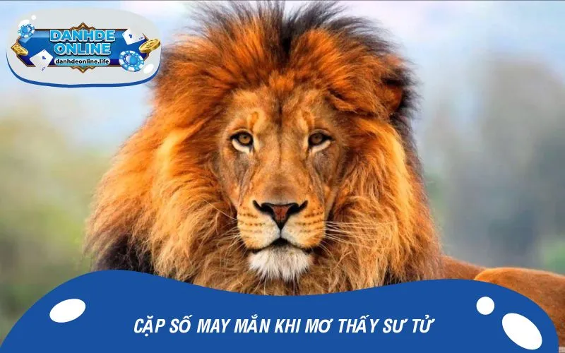 Cặp số may mắn khi mơ thấy sư tử