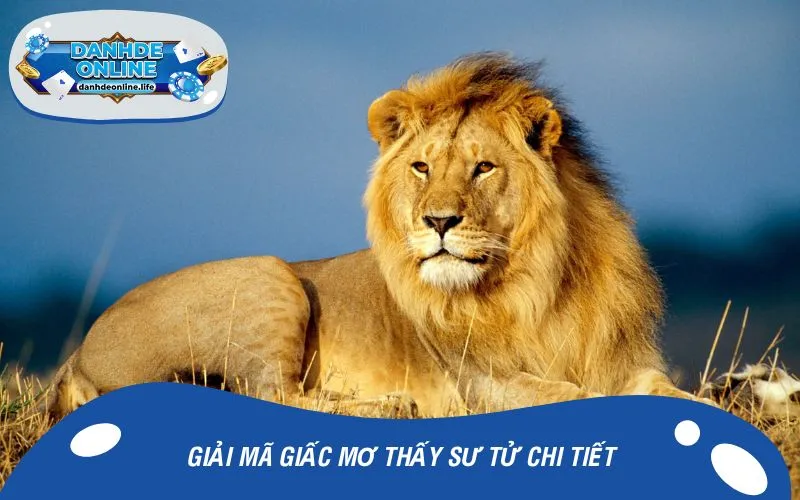 Giải mã giấc mơ thấy sư tử chi tiết